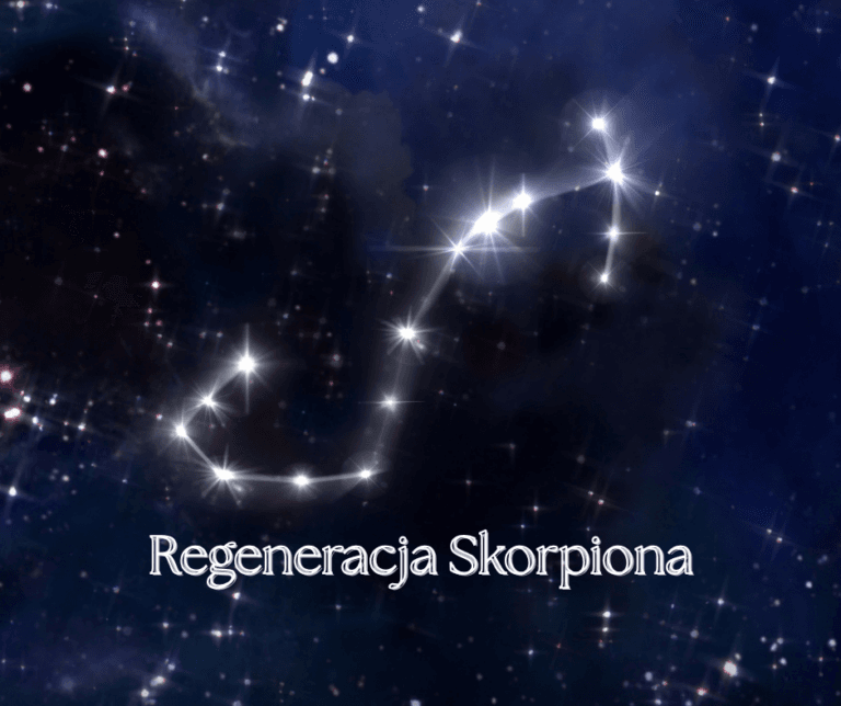 regeneracja_skorpiona